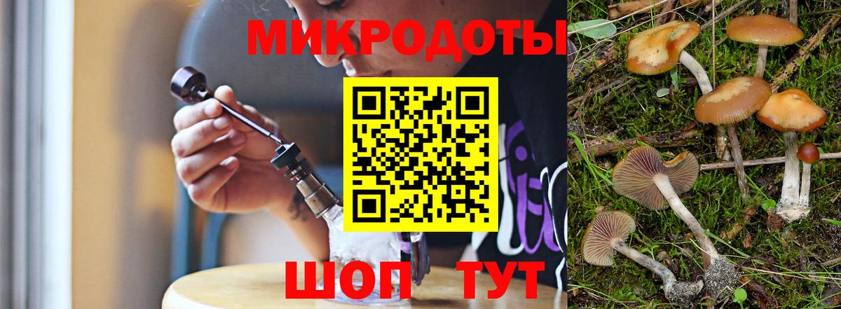 Галлюциногенные грибы ЛСД Родники